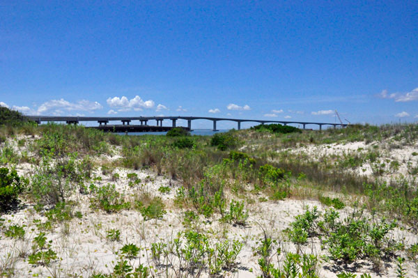 the bridge and dune